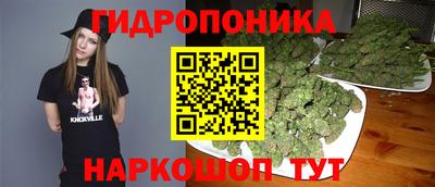 альфа пвп Краснознаменск