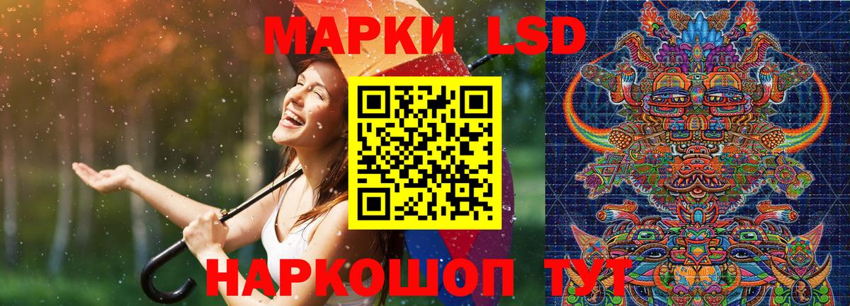 Наркотические марки 1,5мг  Вход с VPN  Наркотические марки  Наркотические марки 1,5мг  Камышлов 