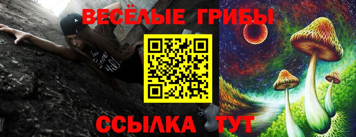 Камышлов  Галлюциногенные грибы Cubensis  где найти   Вход с VPN 